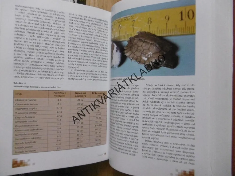 ŽELVY V PŘÍRODĚ A V PÉČI ČLOVĚKA, JIŘÍ ZYCH,
