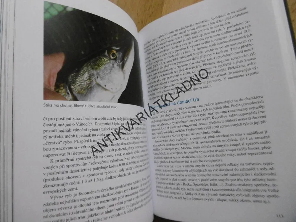 NAŠE RYBÁŘSTVÍ, KOLEKTIV AUTORŮ,