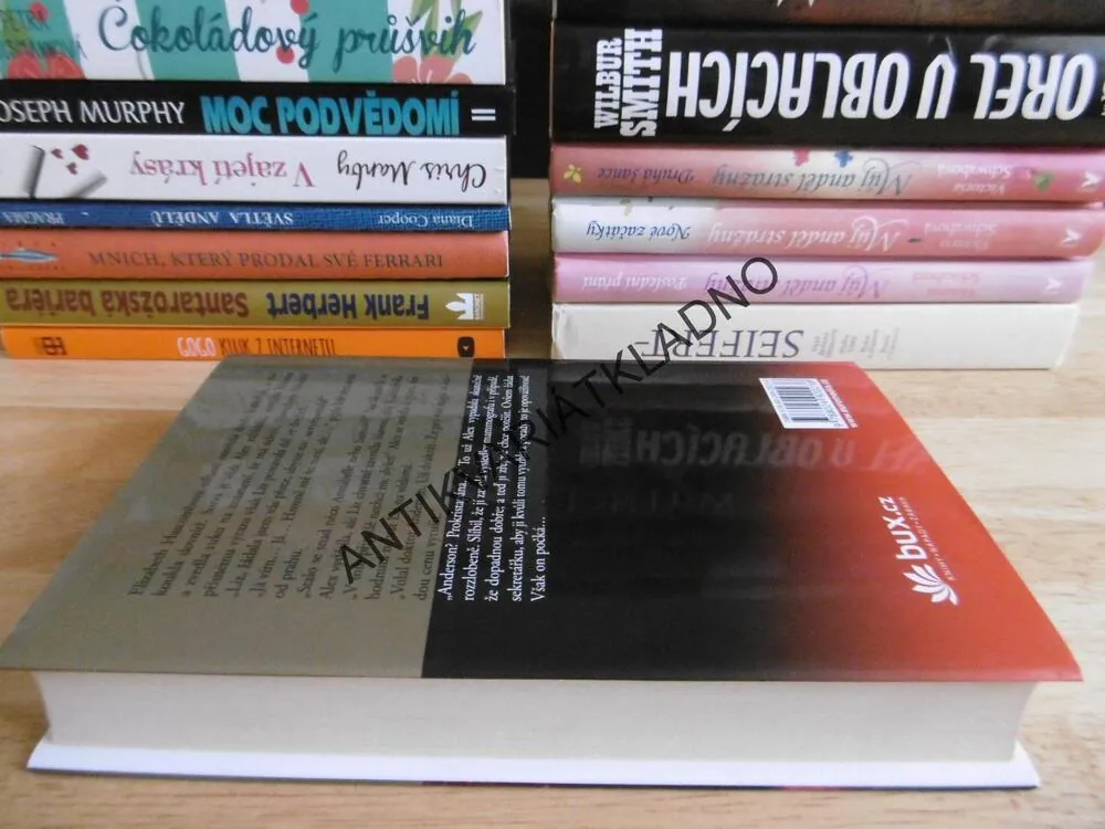 ZÁSAH OSUDU, DANIELLE STEEL, **an