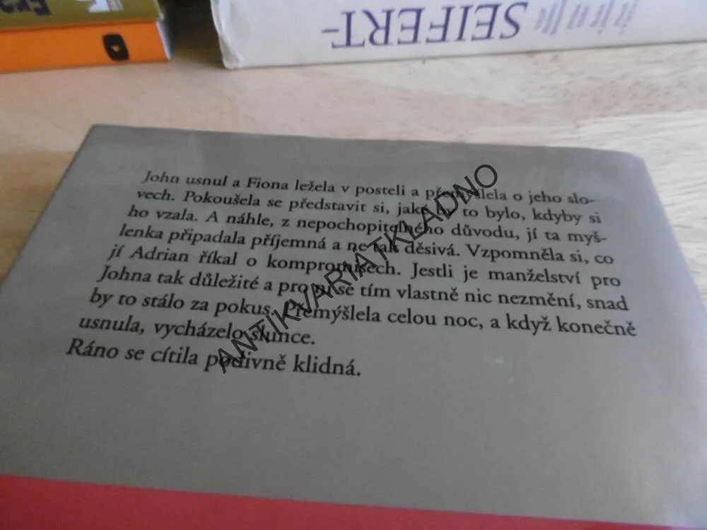 DRUHÁ ŠANCE, DANIELLE STEEL, **an