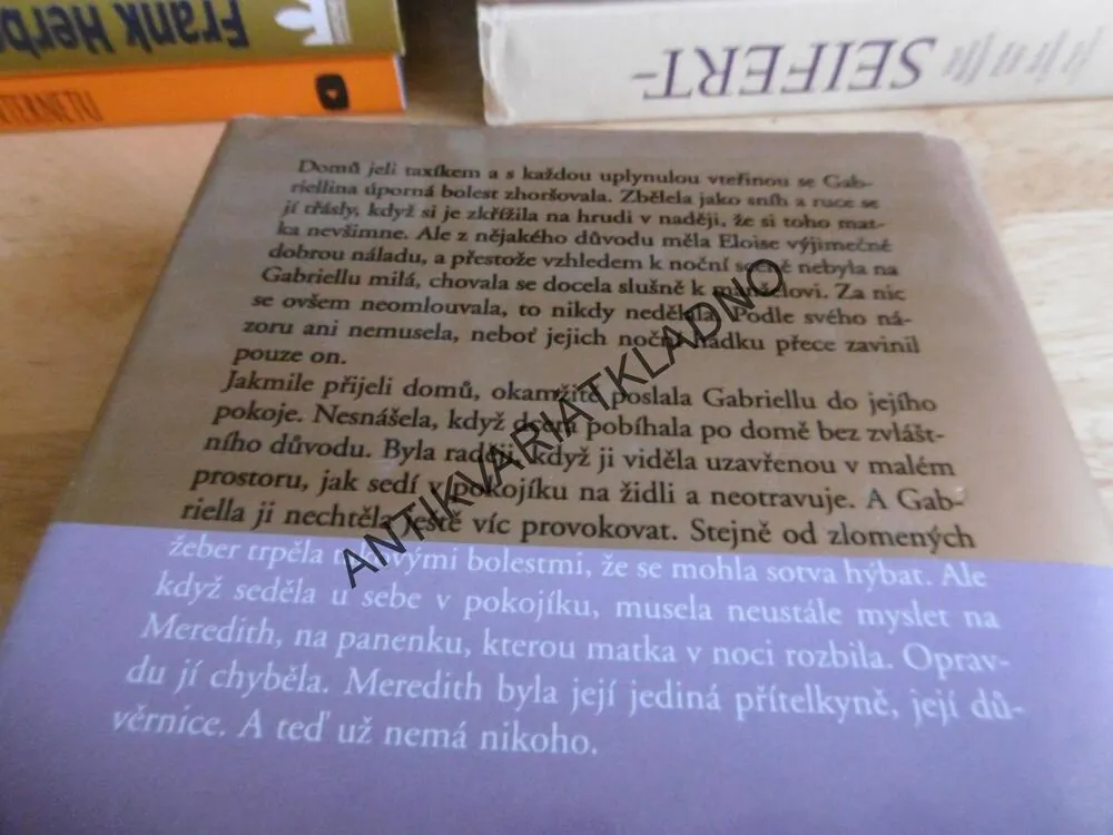 ODPUŠTĚNÍ, DANIELLE STEEL, **an