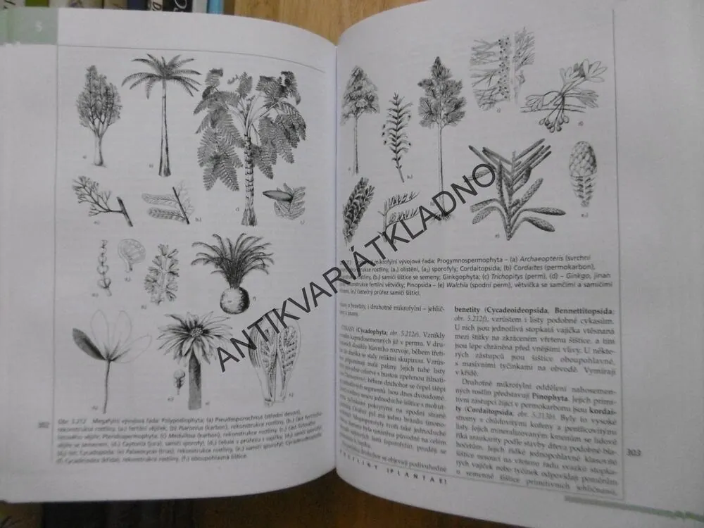 NOVÝ PŘEHLED BIOLOGIE, ROZSYPAL