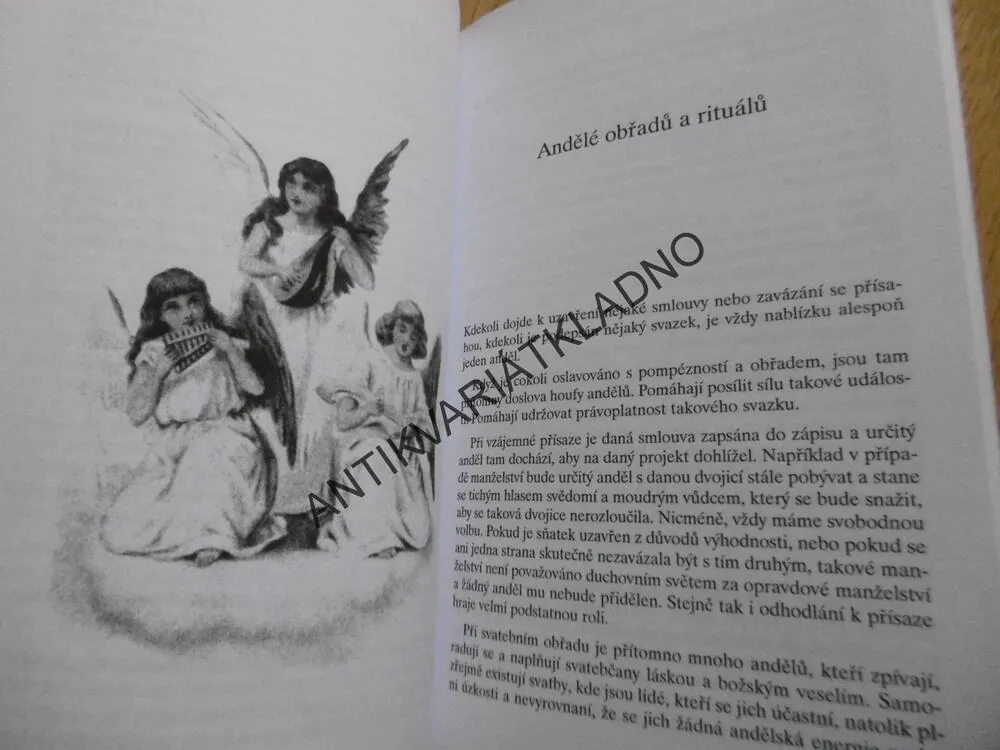 SVĚTLA ANDĚLŮ, ANDĚLÉ NÁM POMÁHAJÍ, DIANA COOPER