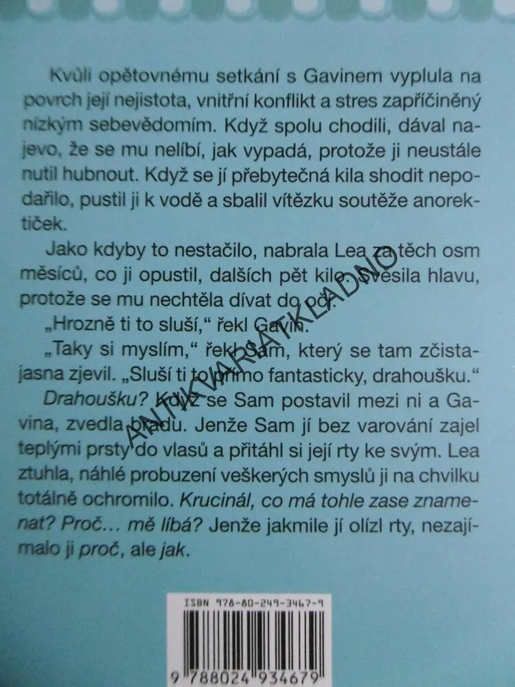 NA VELIKOSTI ZÁLEŽÍ, ALISON BLISSOVÁ