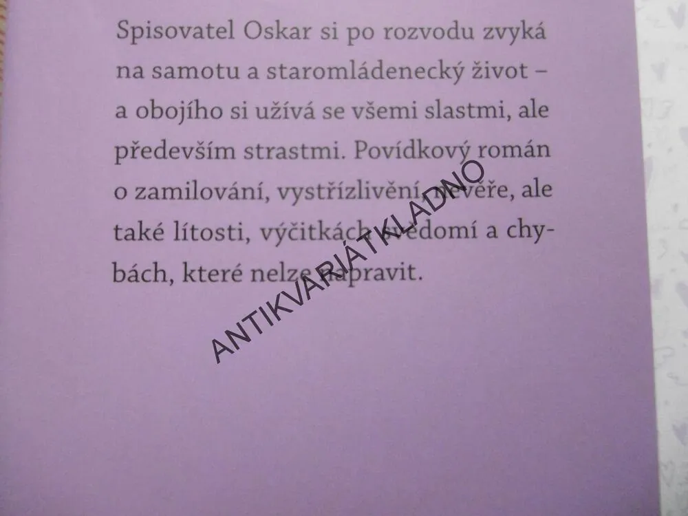 POVÍDKY O MANŽELSTVÍ A O SEXU, MICHAL VIEWEGH