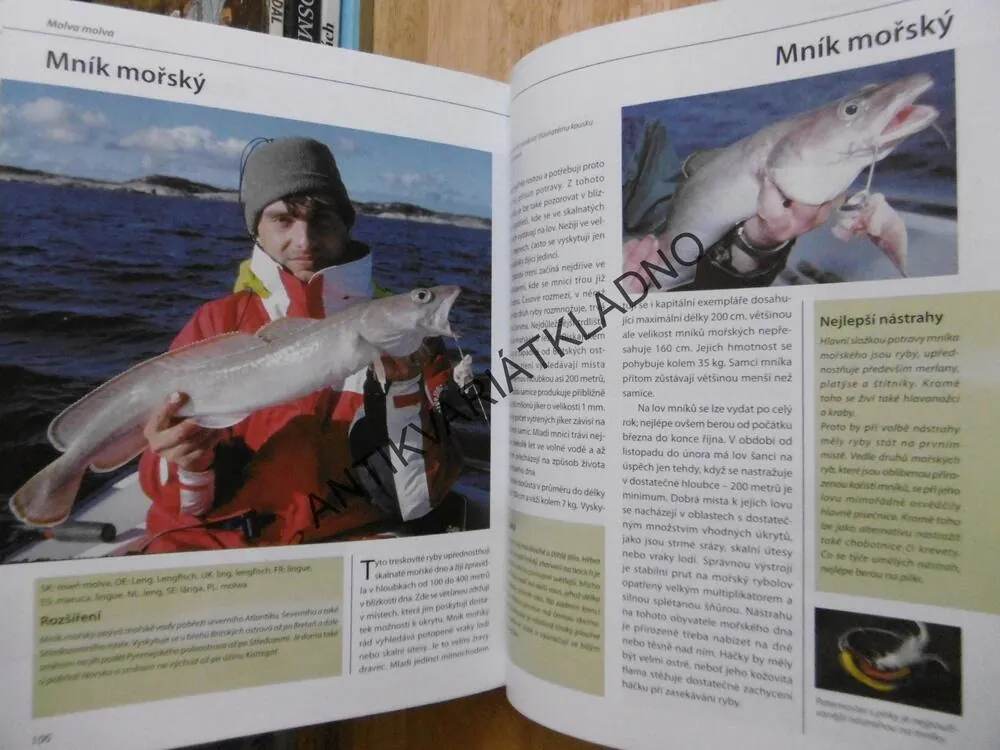 VELKÝ ATLAS RYB, AKVARISTIKA, AKVARIUM, **an