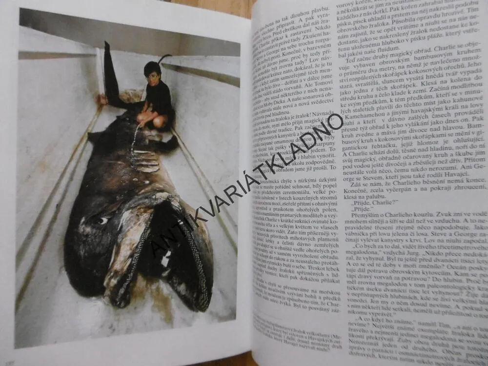 PO ZÁHADNÝCH STOPÁCH, JAROSLAV MAREŠ, **an