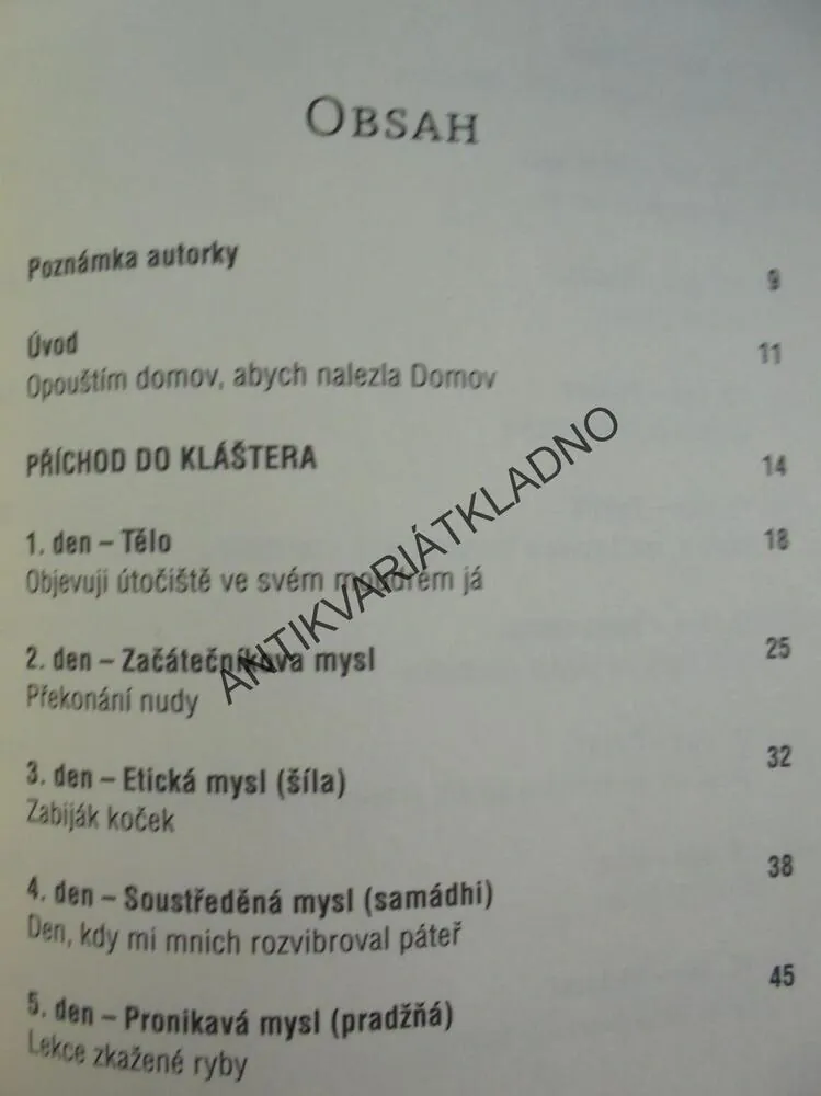 MNIŠI A JÁ, 40 DNÍ V KLÁŠTEŘE,FRANCIE, PATERSONOVÁ
