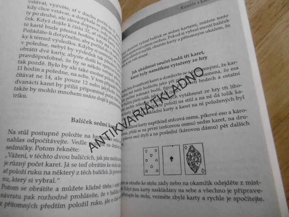 KARTY, HÁDÁNÍ BUDOUCNOSTI, KOUZLA, PASIÁNS, DEAN BRYDEN