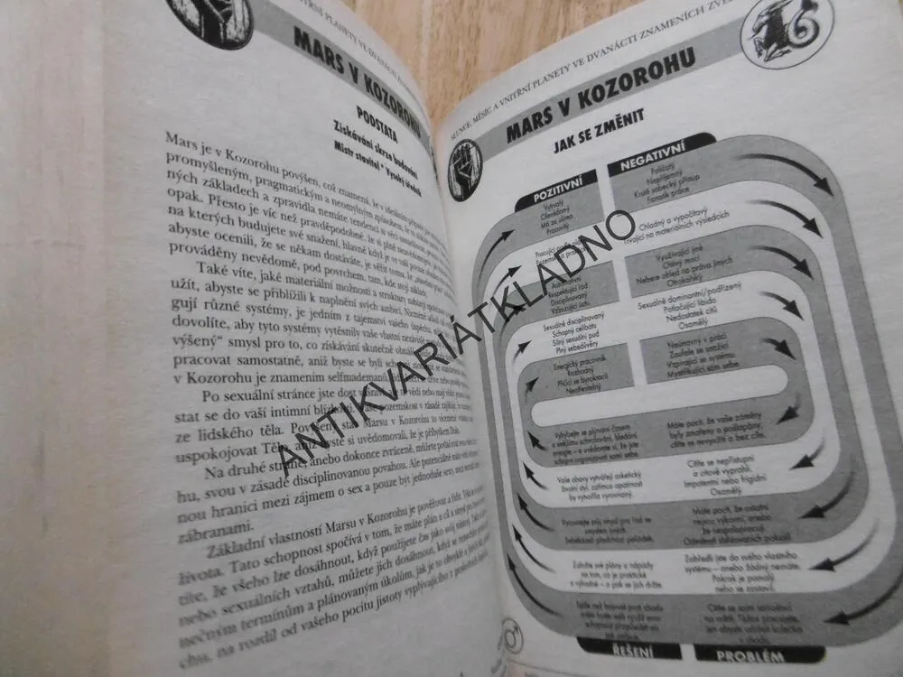 ASTROLOGIE , PRAKTICKÁ PŘÍRUČKA, LYN BIRKBECK, HOROSKOP, BUDOUCNOST,
