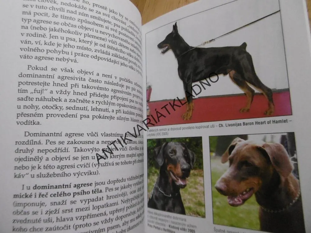 DOBRMAN, IVA LUPEČKOVÁ, CHOVÁME PSY, **an