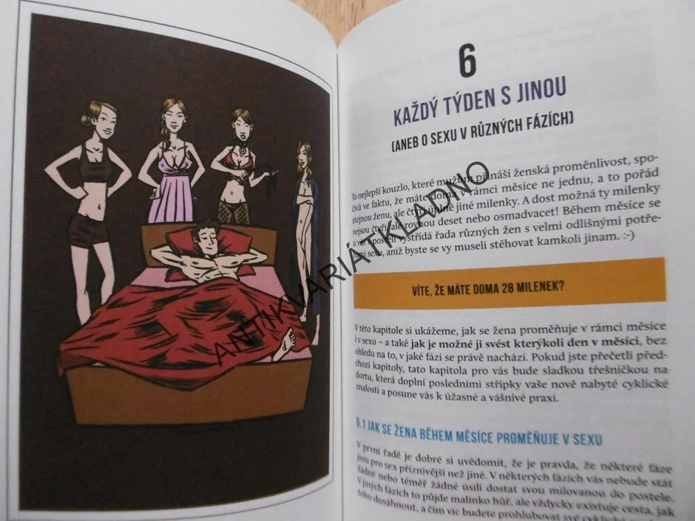 NÁVOD NA ŽENY ANEB PRŮVODCE MODERNÍHO MUŽE PO NEVYZPYTATELNÉM SVĚTĚ ŽEN, ŠLANCAROVÁ, HUTTER