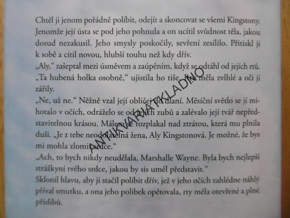 ALYIN DŮM, LEILA MEACHANOVÁ, **an