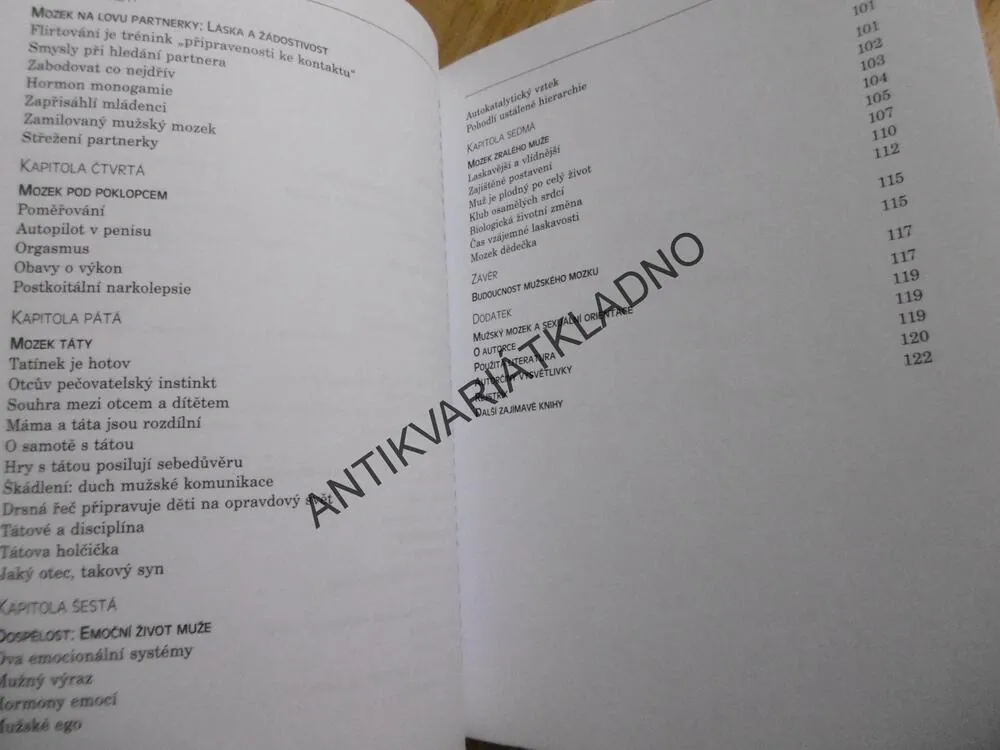 PROČ MUŽI MYSLÍ TAK, JAK MYSLÍ, LOUANN BRIZENDIN, **an