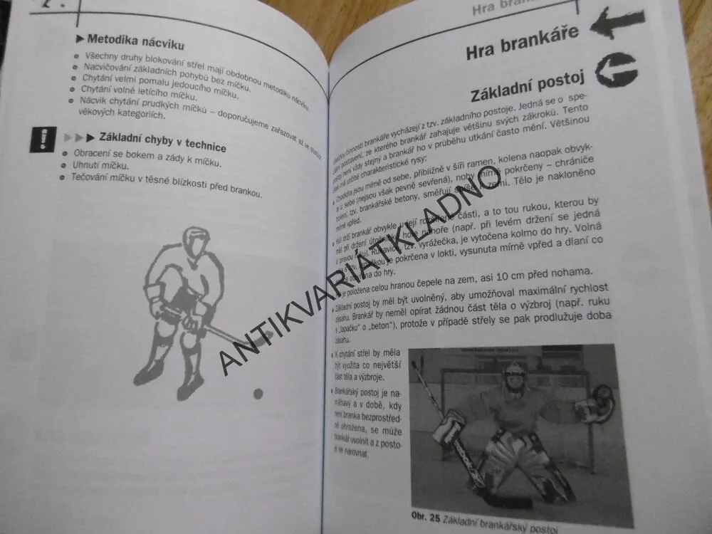 HOKEJBAL, PRŮVODCE TRÉNINKEM, PERIČ, PŘEROST, KADANĚ
