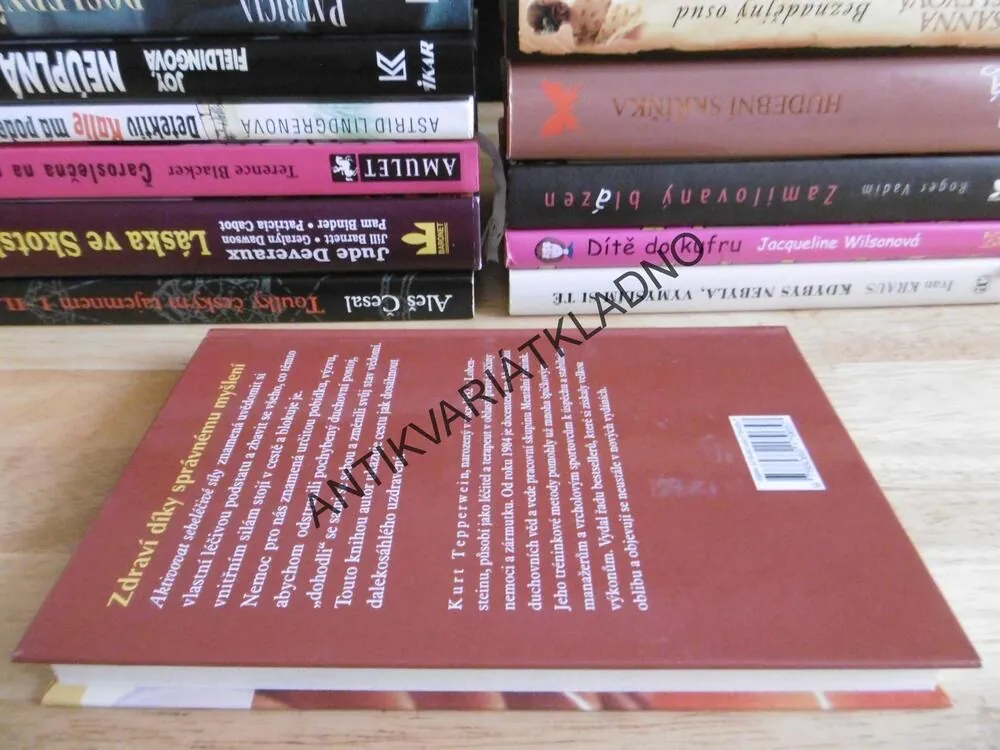 SEBELÉČBA ANEB JAK AKTIVOVAT VLASTNÍ LÉČIVÉ SÍLY, KURT TEPPERWEIN,
