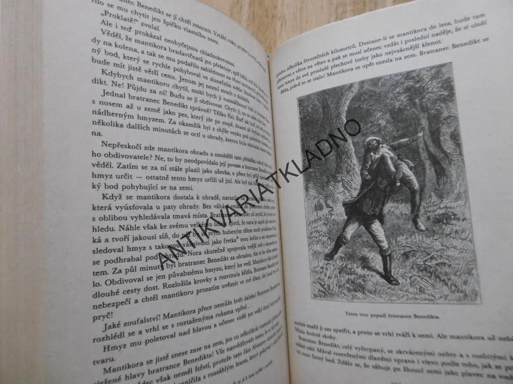 PATNÁCTILETÝ KAPITÁN, JULES VERNE, 1989, 