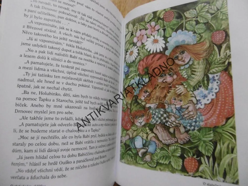 O STATEČNÉM SKŘÍTKU DRNOVCI, VÍTĚZSLAVA KLIMTOVÁ, **an