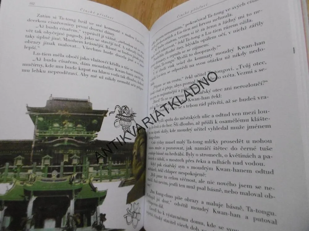 POSLEDNÍHO KOUSNE PES, HANA DOSKOČILOVÁ, JIŘÍ BĚHOUNEK, **an