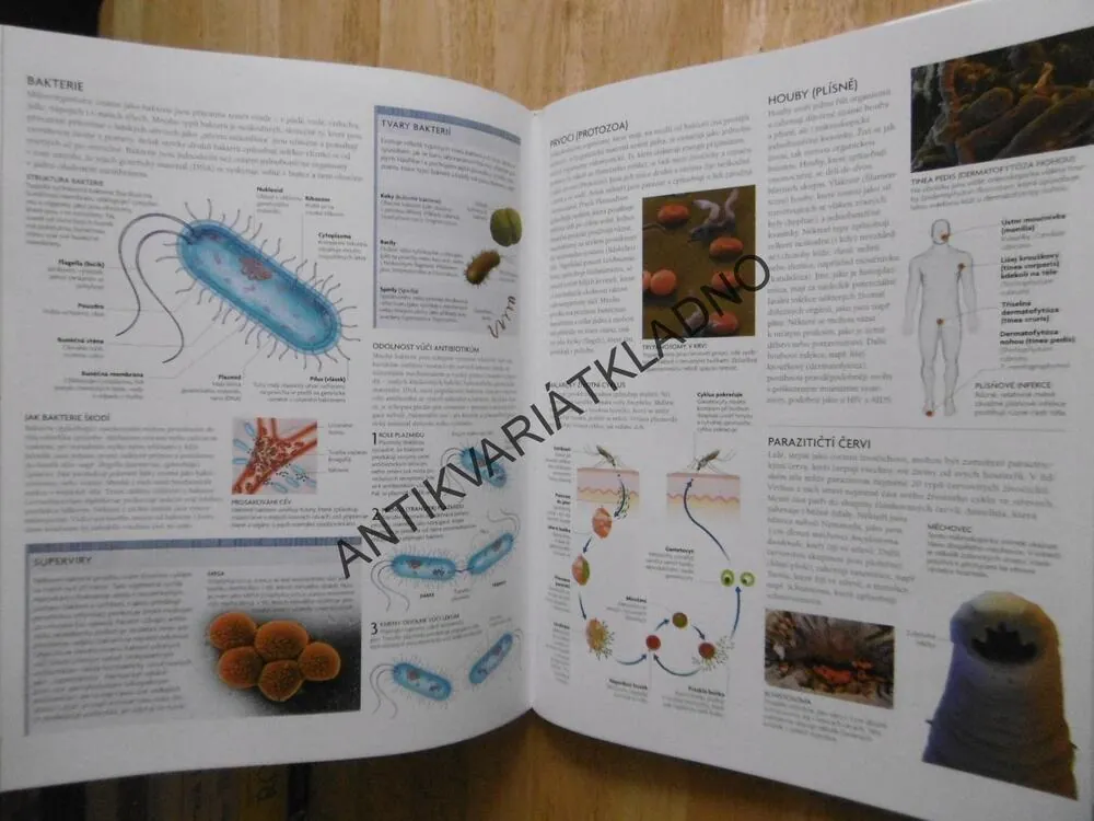 LIDSKÉ TĚLO, ILUSTROVANÝ PRŮVODCE JEHO STRUKTUROU, FUNGOVÁNÍM A PORUCHAMI, bez DVD, **an
