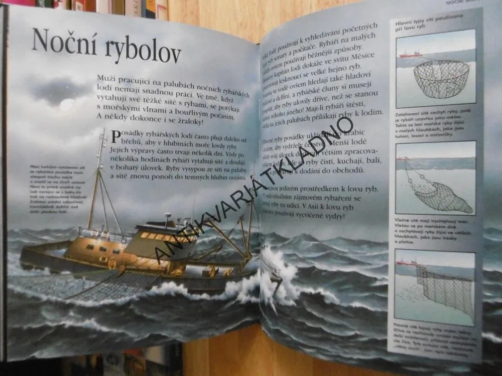 CO SE DĚJE V NOCI, ČTENÍ PŘED SPANÍM, SALLY TAGHOLMOVÁ, **an