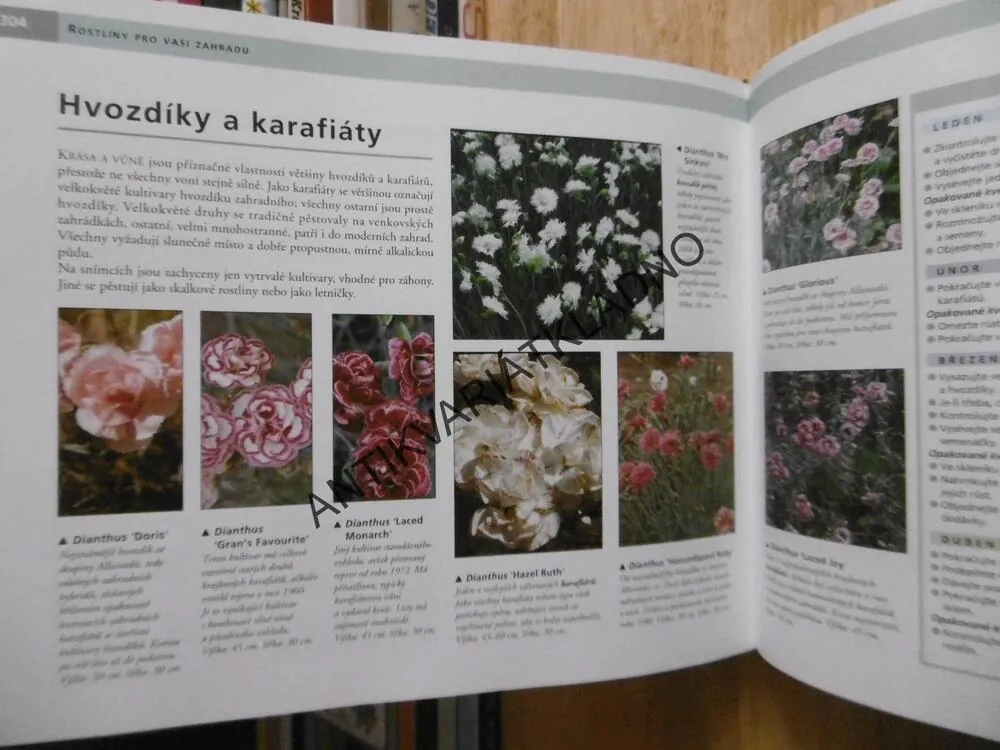 ROK V ZAHRADĚ, JAK SE TĚŠIT ZE ZAHRADY OD JARA DO ZIMY