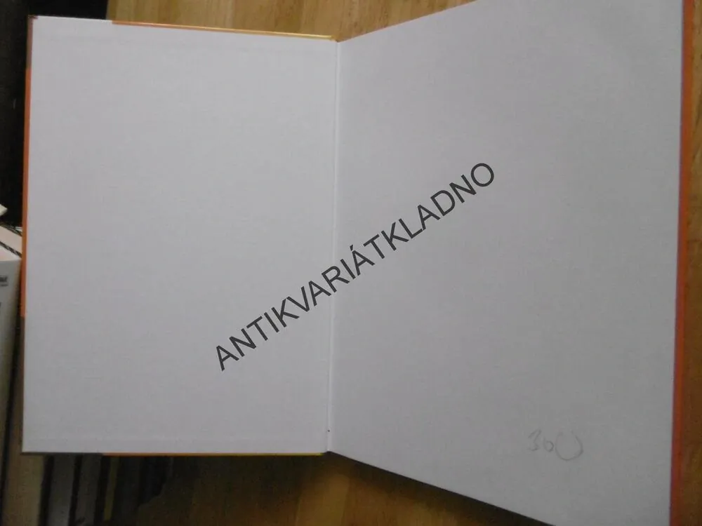 TAJEMNÉ PŘÍBĚHY ČTYŘLÍSTKŮ 13. VELKÁ KNIHA, 1997, ŠTÍPLOVÁ, NĚMEČEK, **an
