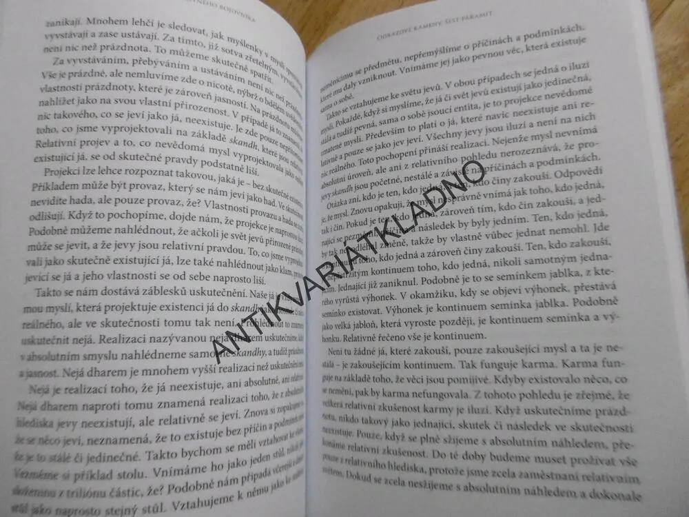 CESTA SOUCITNÉHO BOJOVNÍKA, JAK NALÉZT ŠTĚSTÍ, D.K. RINPOČHE
