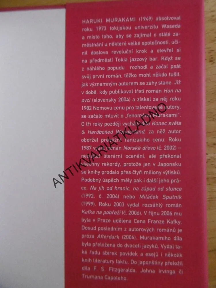 AFTERDARK, HARUKI MURAKAMI,