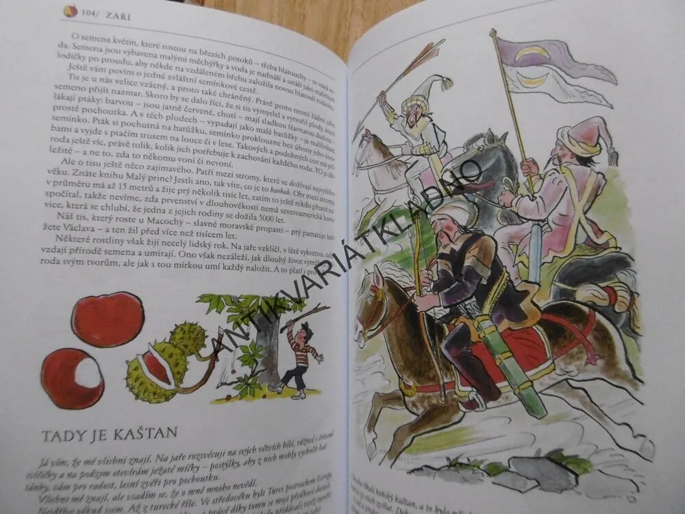 BAREVNÝ ROK, BOŽENA ŠIMKOVÁ, ALENA JANOUŠKOVÁ, **an