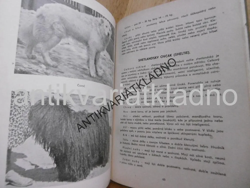 CHOV A VÝCVIK OVČÁCKÉHO PSA, ALEXANDER BURGER, PES, CHOVATELSTVÍ
