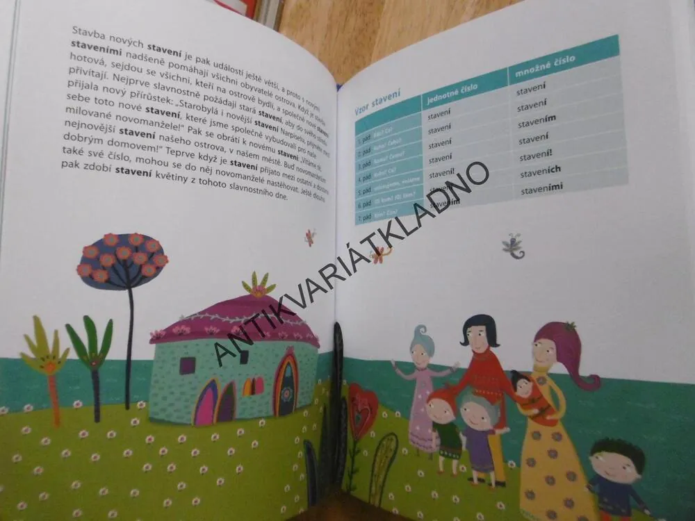 FI A FLO, ZEMANOVÁ, BERGMANNOVÁ, SCIFI PŘÍBĚH O SKLOŇOVÁNÍ PODSTATNÝCH JMEN
