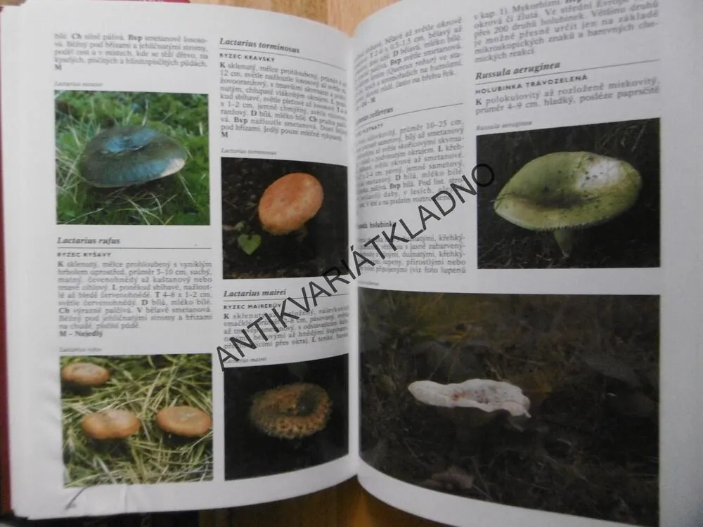 ENCYKLOPEDIE HUB, GERRI J.KEIZER, HOUMY, MYKOLOGIE, **an