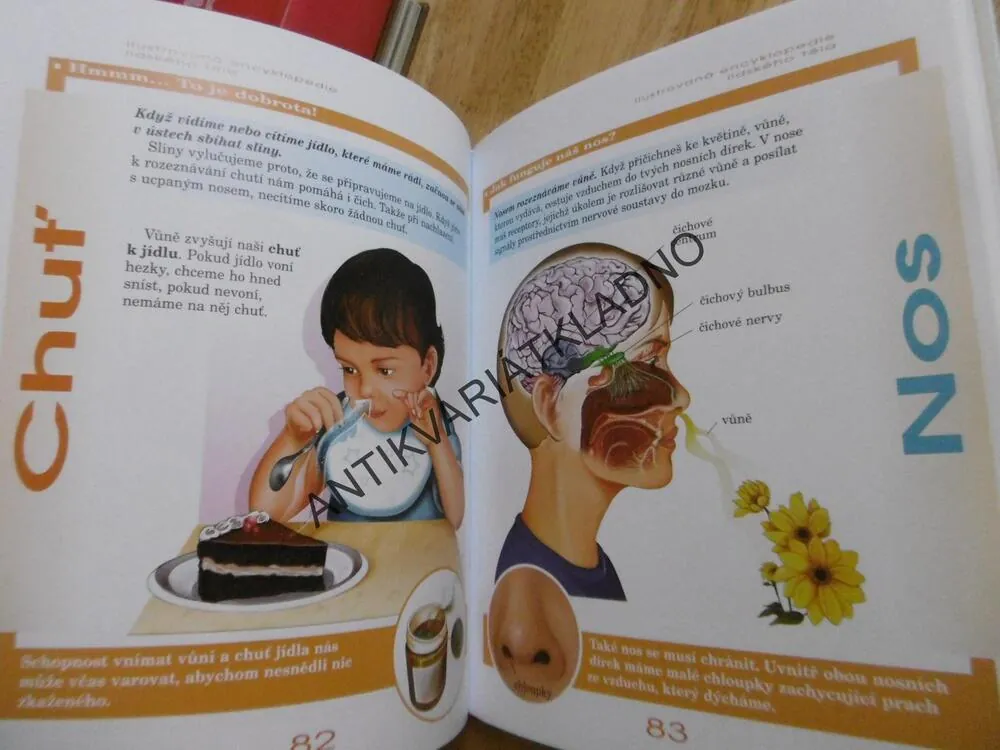 ENCYKLOPEDIE LIDSKÉHO TĚLA, LIDSKÉ TĚLO, PRO ZVÍDAVÉ KLUKY A HOLKY, **an