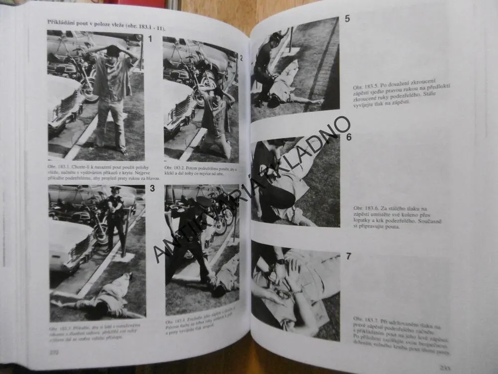JAK PŘEŽÍT V BETONOVÉ DŽUNGLI, STREET SURVIVAL, RONALD J. ADAMS