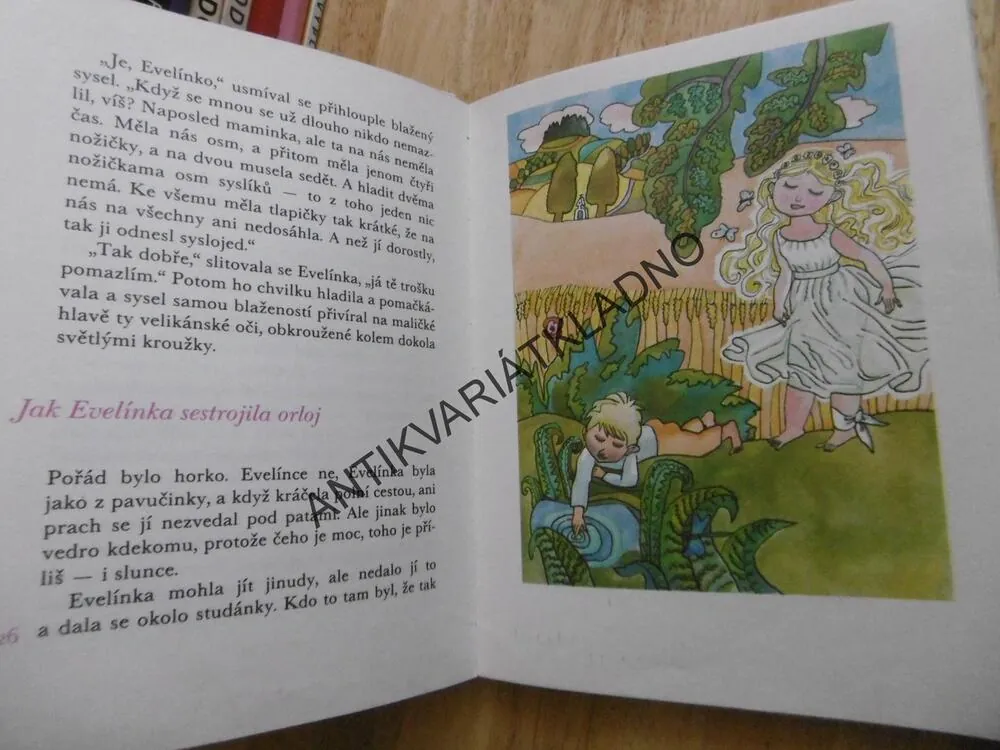 POLNÍ ŽÍNKA EVELÍNKA, FRANTIŠEK NEPIL, MILOSLAV JÁGR, 1979, **an