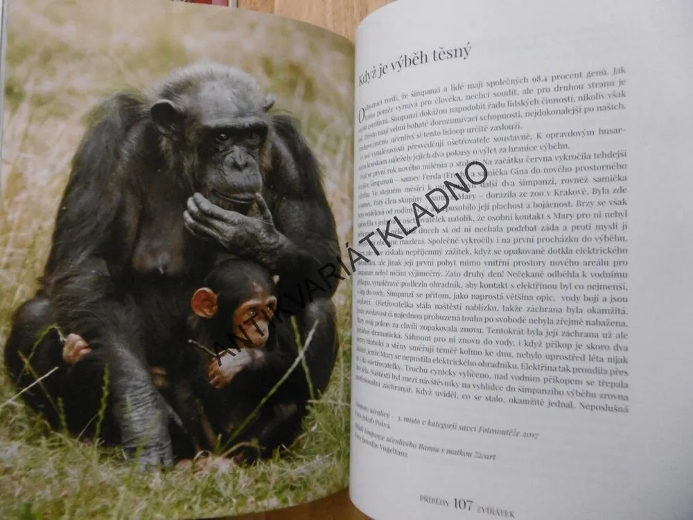 PŘÍBĚHY ZVÍŘÁTEK, ZOOLOGICKÁ ZAHRADA JAK JI NEZNÁTE, FRANTIŠEK HYKEŠ