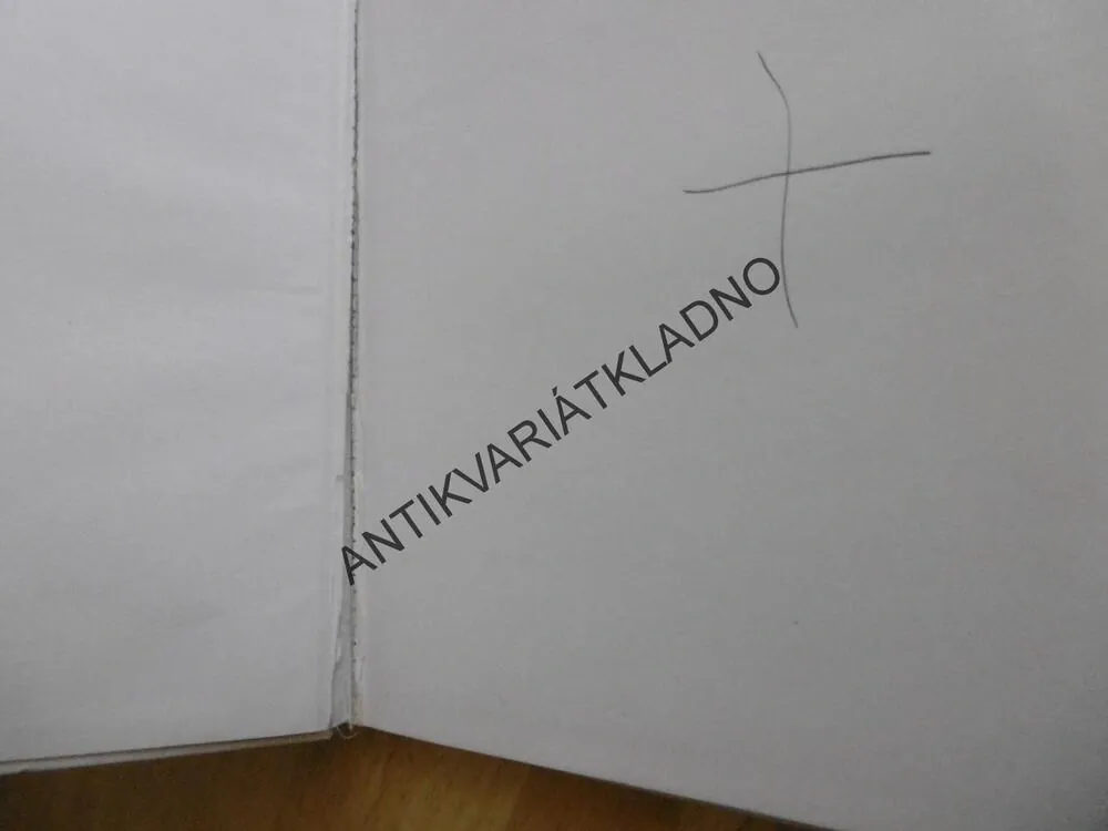 UŽ VÍM PROČ, 1., H. A E. ŠKODOVI, VOJTĚCH KUBAŠTA,1979, **an