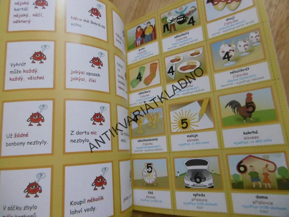 SLOVNÍ DRUHY S ČERTÍKEM KVÍTKEM, ROMANA SUCHÁ