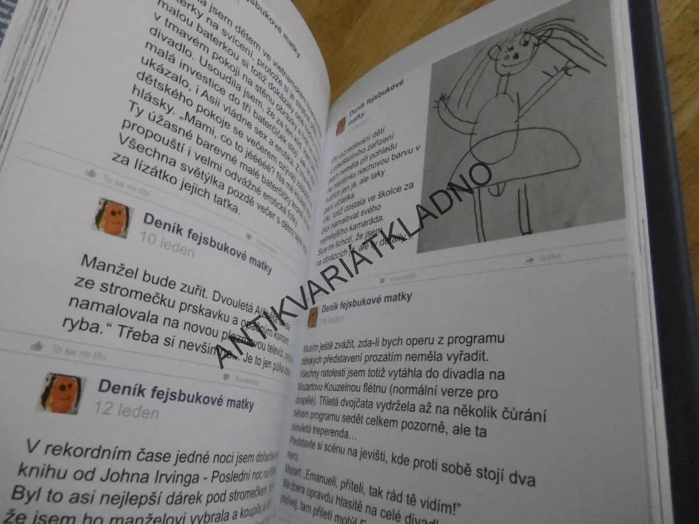 DENÍK FEJSBUKOVÉ MATKY, LUCIE NACHTIGALLOVÁ, **an