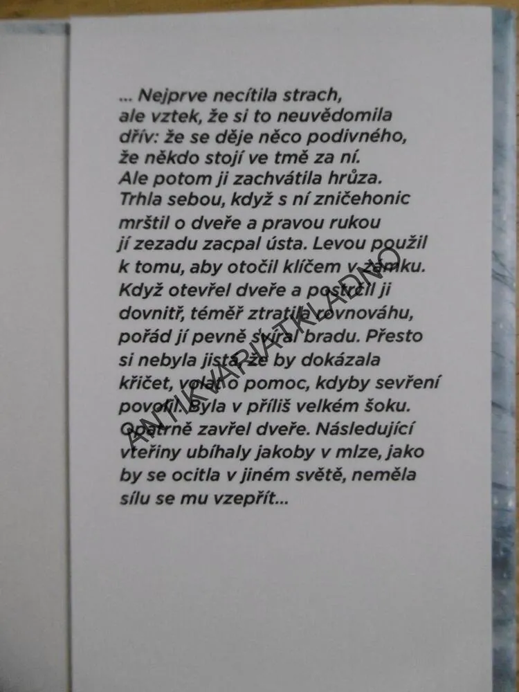 SNĚŽNÁ SLEPOTA, RAGNAR JÓNASSON, **an