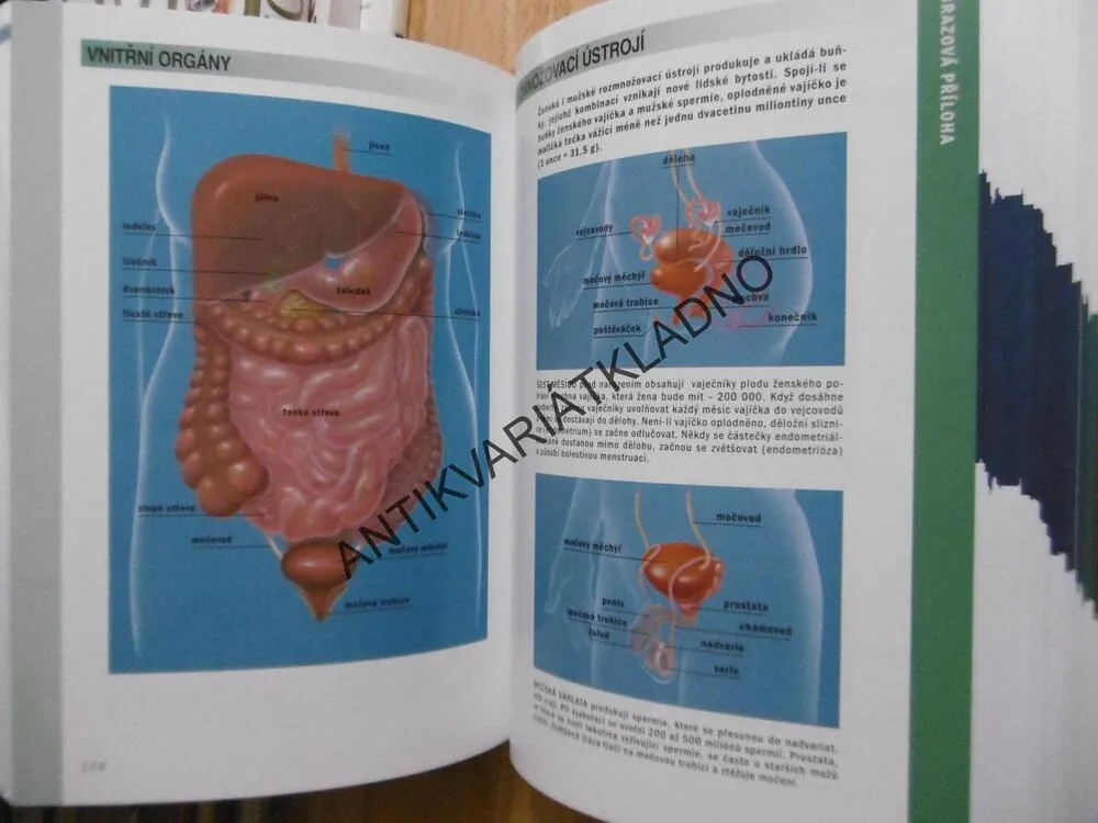 RODINNÝ DOMÁCÍ LÉKAŘ, RADY NA VÍCE NEŽ 300 ZDRAVOTNÍCH PROBLÉMŮ, **an