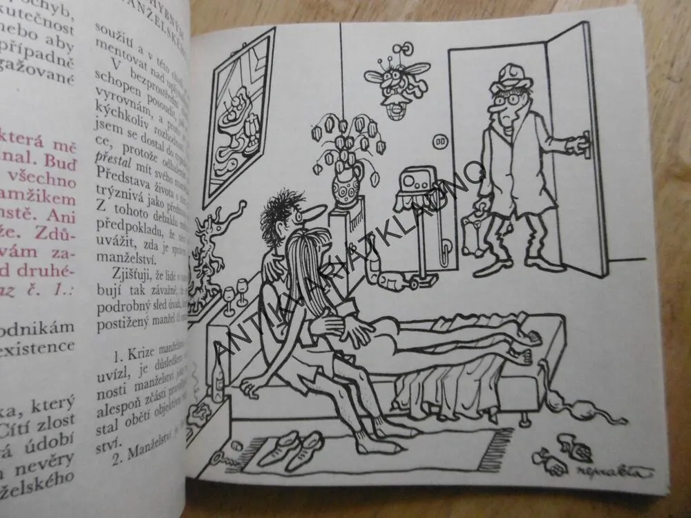 PRVNÍ POMOC PŘI NEHODÁCH MANŽELSKÝCH, PLZÁK, NEPRAKTA, 1967