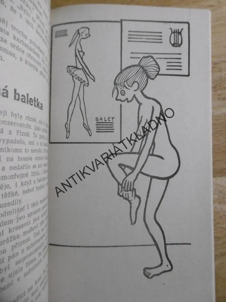 LÁSKY ČERNÉHO BARONA, ŠVANDRLÍK, NEPRAKTA, **an