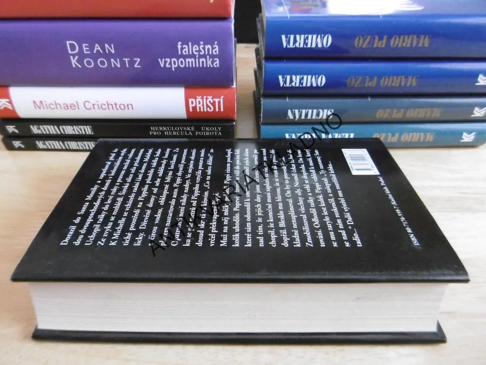 POSLEDNÍ KMOTR, MARIO PUZO, **an