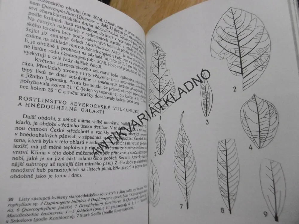 KAPESNÍ ATLAS ZKAMENĚLIN, V. HABĚTÍN, KNOBLOCH,