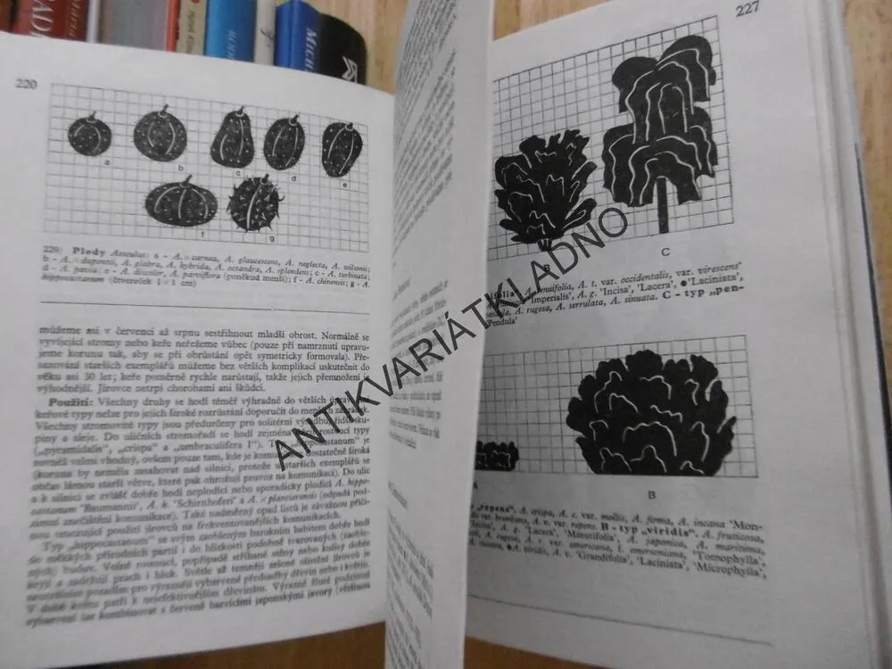PRAKTICKÁ DENDROLOGIE 1-2, KAREL HIEKE, **an
