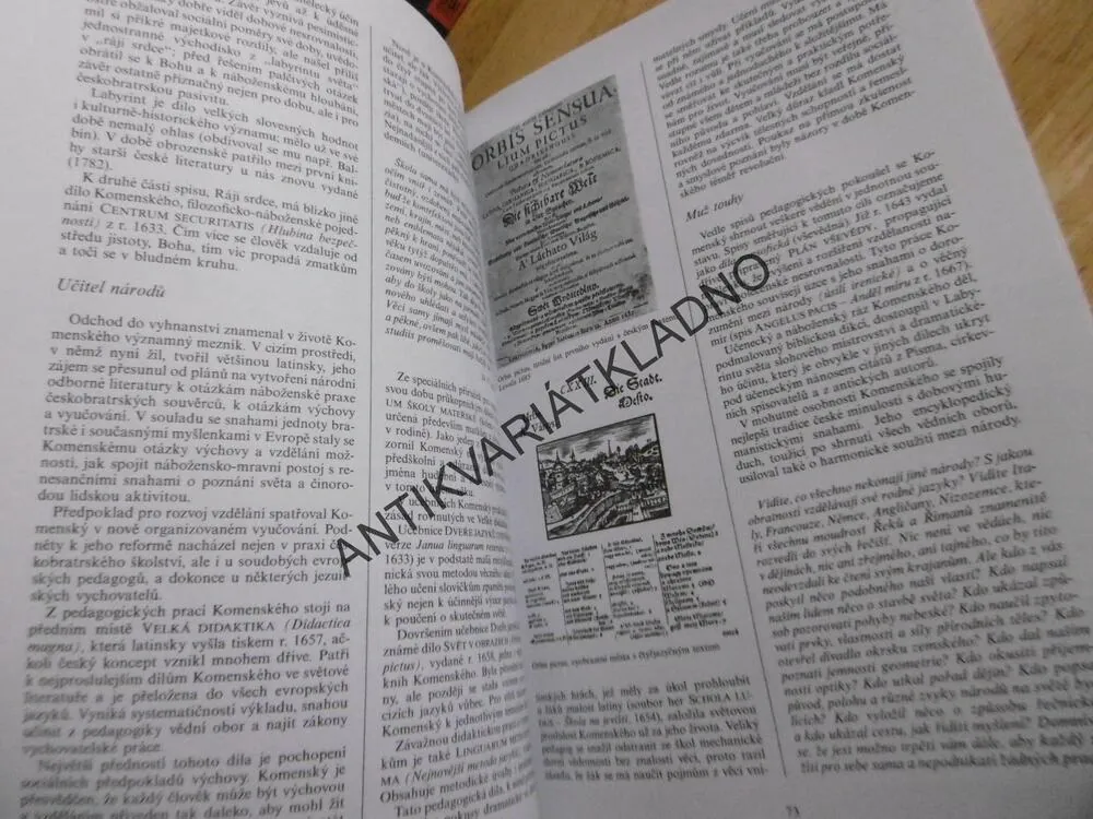PŘEHLEDNÉ DĚJINY LITERATURY, BOHUŠ BALAJKA, 1.
