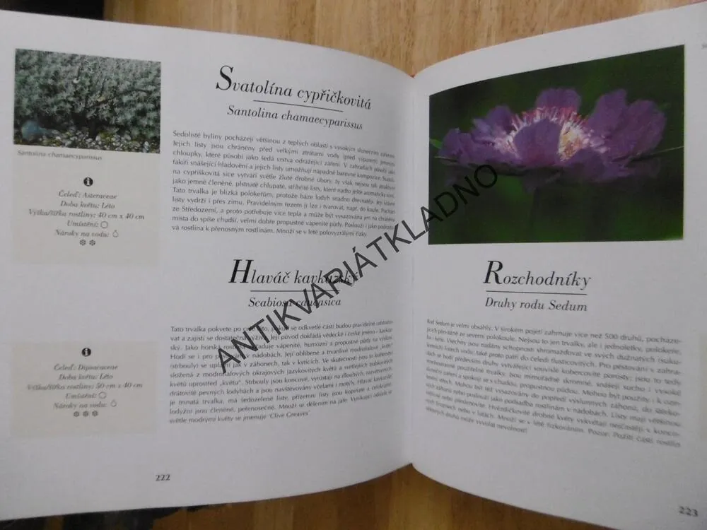 ZAHRADNÍ ROSTLINY, 500 NEJKRÁSNĚJŠÍCH DRUHŮ