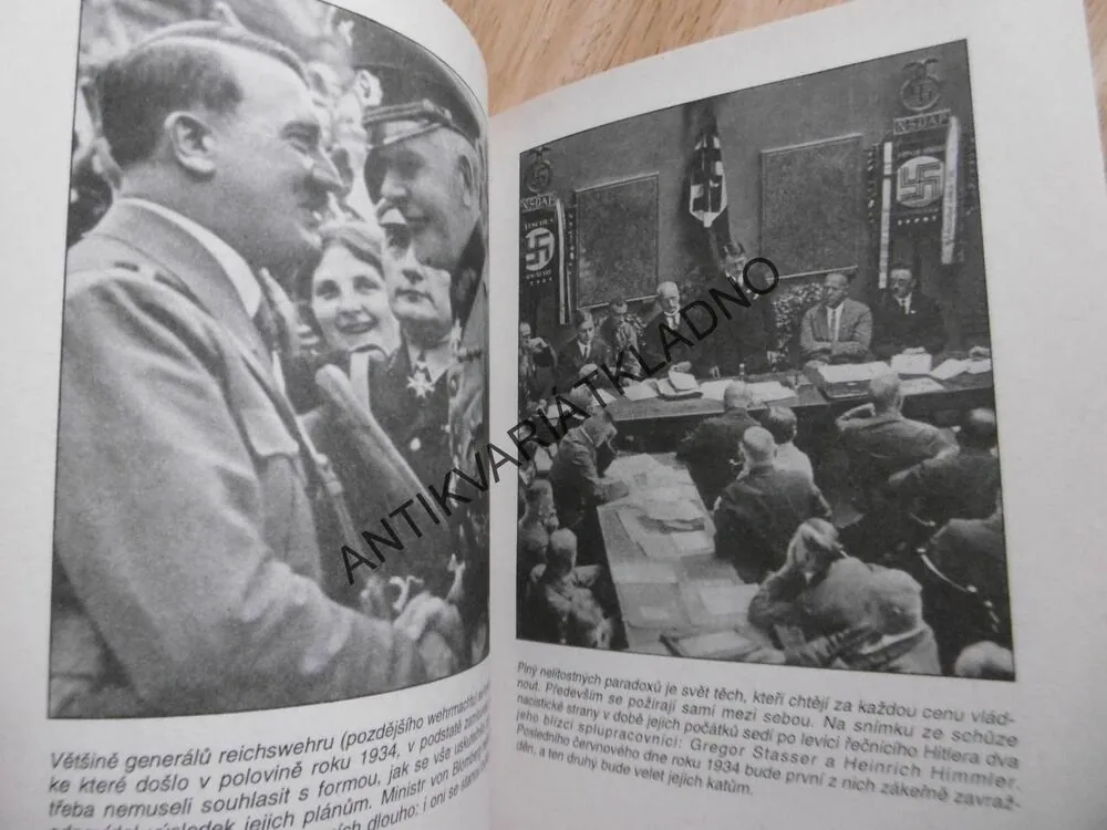 VŽDYŤ ZABÍJET JE TAK SNADNÉ, ROMAN CÍLEK, NĚMECKO 1933-34